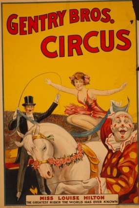 קרקס לסיפור על הרגו לי את הכלב