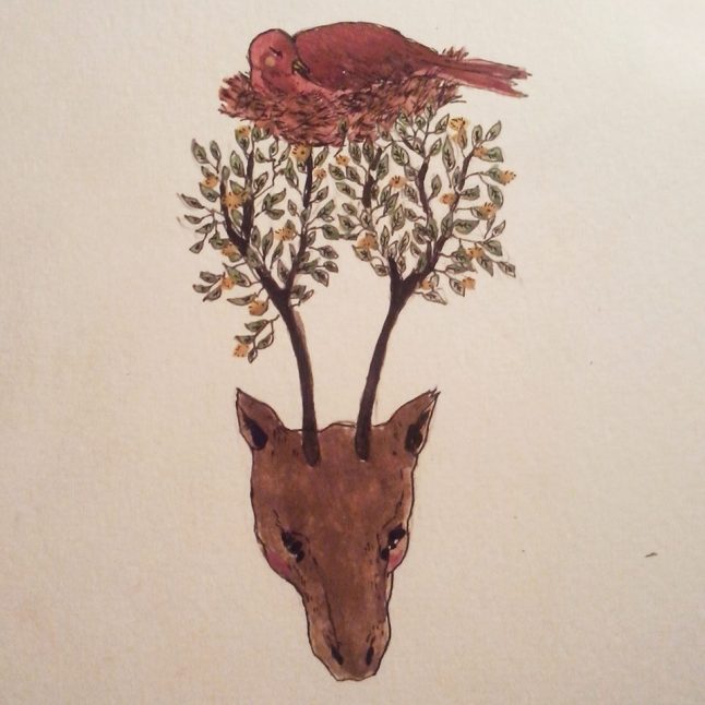 שיר ערש - ענבר הלר אלגזי.jpg