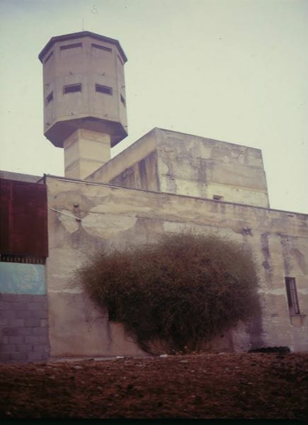 WhatsApp Image 2018-06-11 at 9.46.27 AM